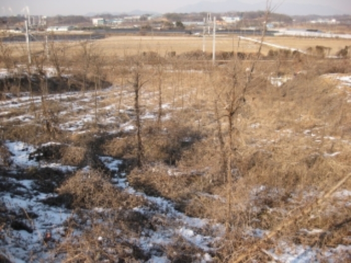 청주지법 2017타경868-1 사진