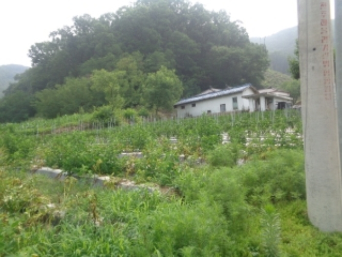청주지법 2017타경7715-1 사진