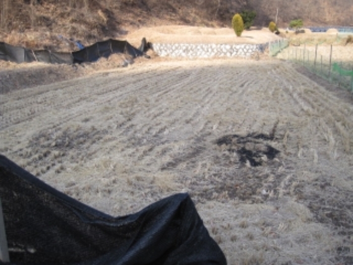 청주지법 2017타경54254-1 사진