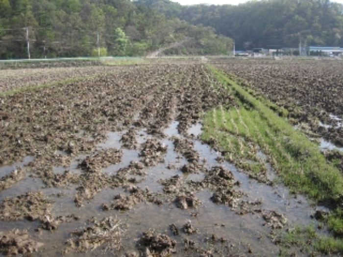 청주지법 2018타경4812-2 사진