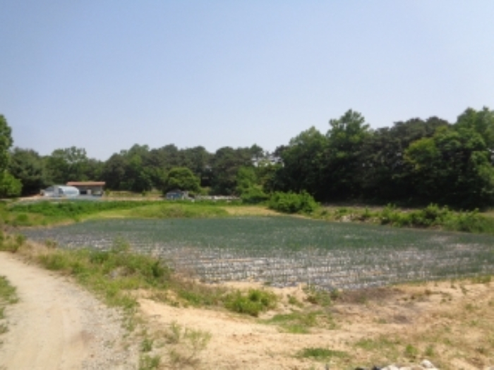 청주지법 2019타경6372-2 사진