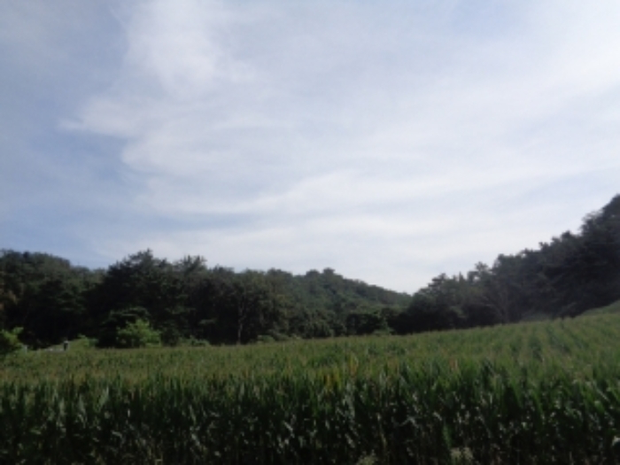 청주지법 2019타경9210-1 사진