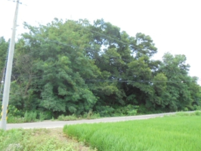청주지법 2019타경9296-1 사진
