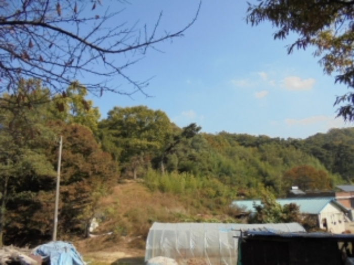 청주지법 2019타경12865-1 사진