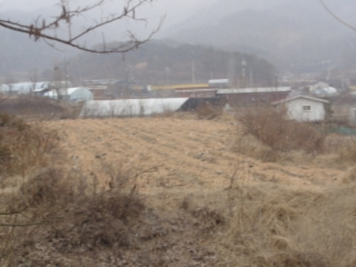 청주지법 2020타경264-1 사진