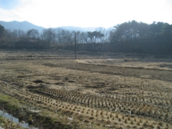 청주지법 2021타경7620-1 사진