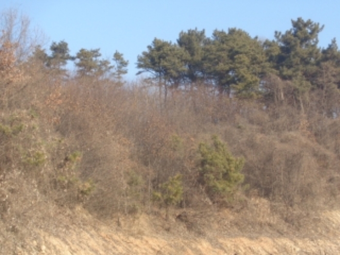 청주지법 2021타경8517-1 사진