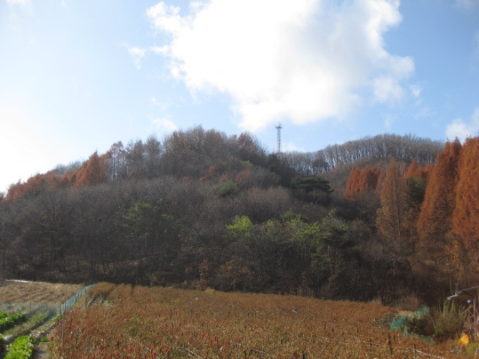 청주지법 2021타경57403-1 사진