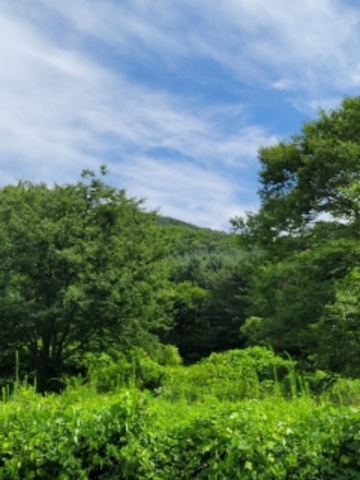 청주지법 2022타경55855-2 사진