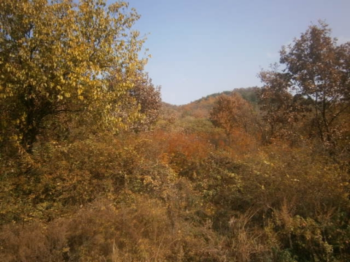 충주지원 2018타경5245-1 사진