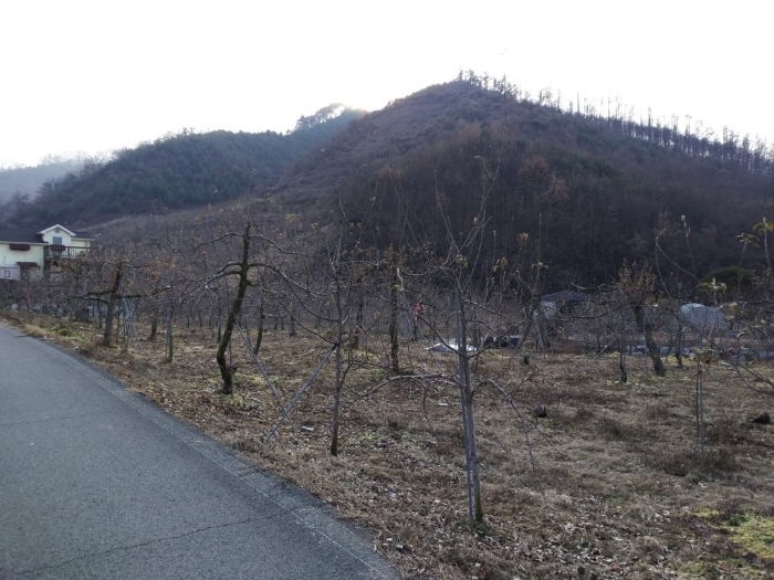 충주지원 2018타경6316-1 사진