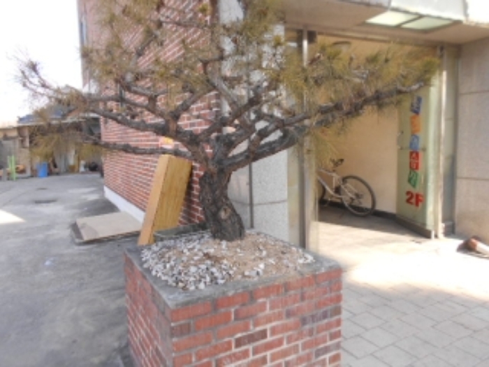 충주지원 2018타경6385-1 사진