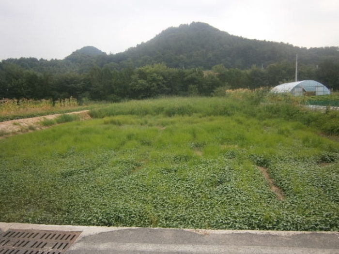 충주지원 2018타경31428-1 사진