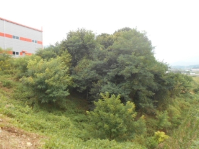 충주지원 2018타경31466-1 사진