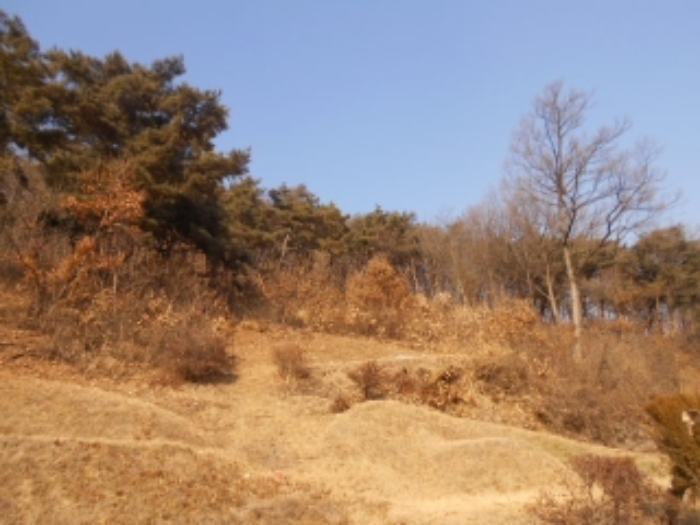 충주지원 2019타경469-1 사진