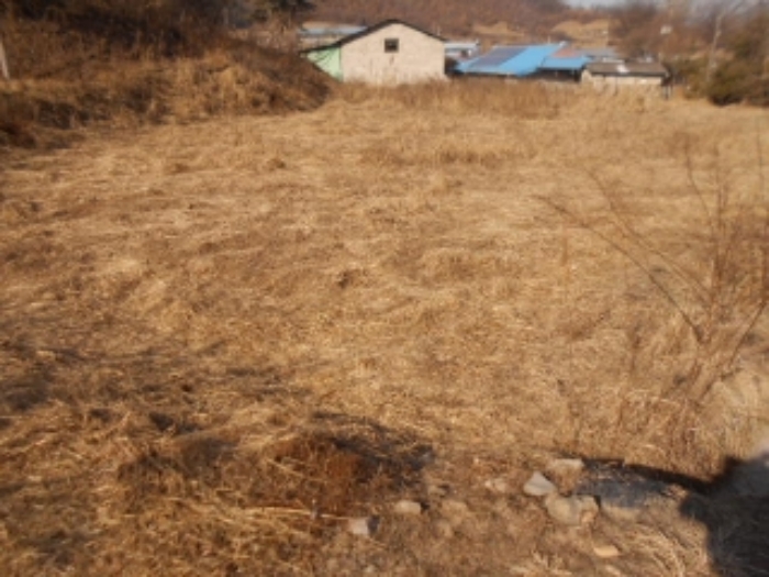 충주지원 2019타경506-1 사진