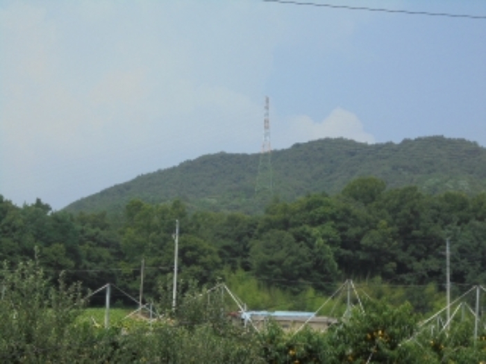 충주지원 2019타경3895-1 사진