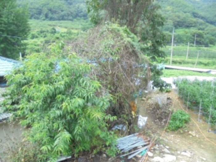 충주지원 2019타경4881-1 사진
