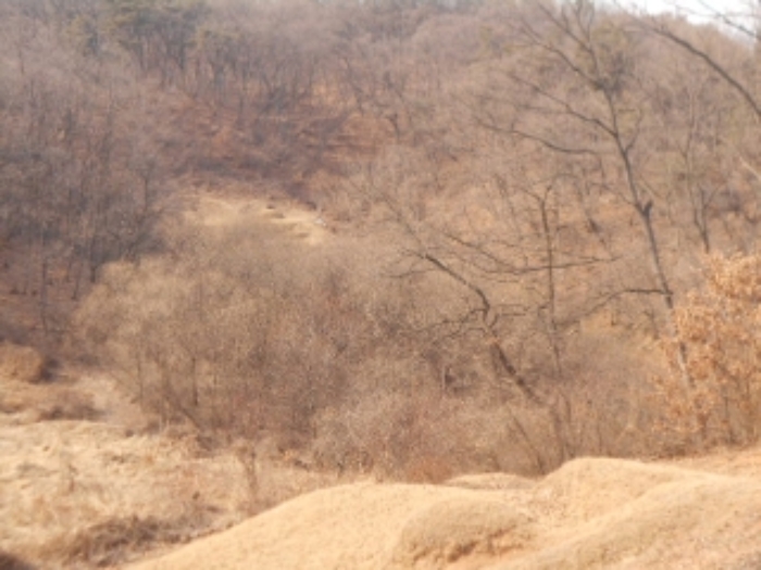 충주지원 2019타경30118-2 사진