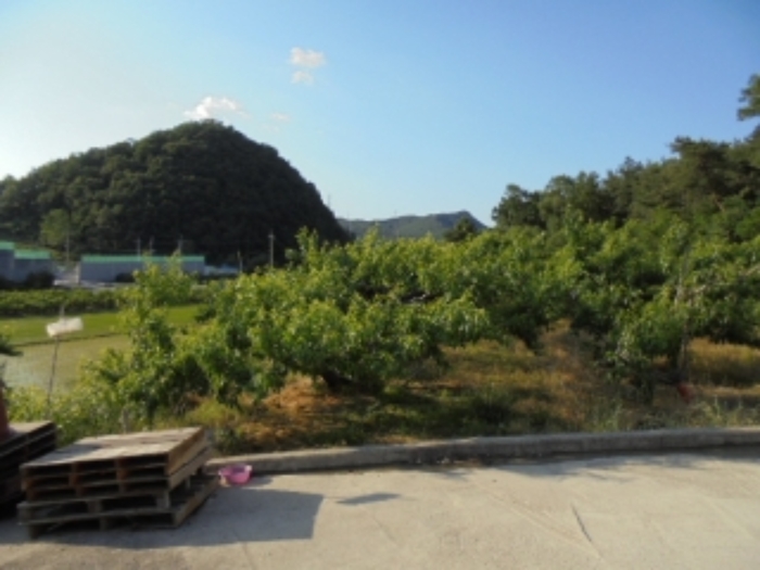 충주지원 2019타경31487-1 사진