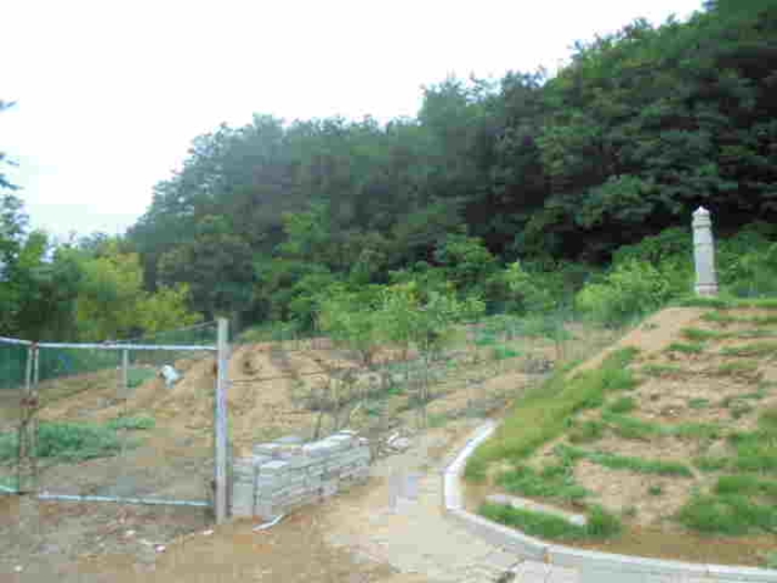 충주지원 2019타경31999-1 사진