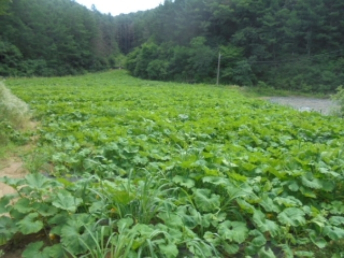 충주지원 2022타경32077-1 사진