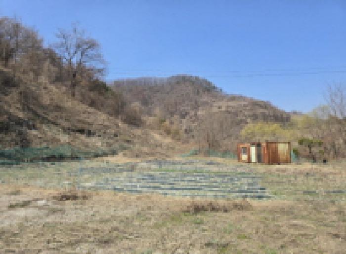 충주지원 2025타경737-1 사진