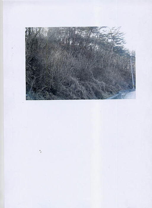 제천지원 2014타경399-1 사진