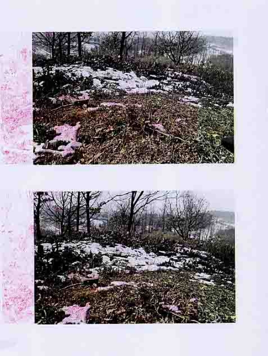 제천지원 2014타경4353-1 사진