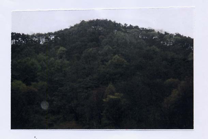 제천지원 2015타경1238-1 사진