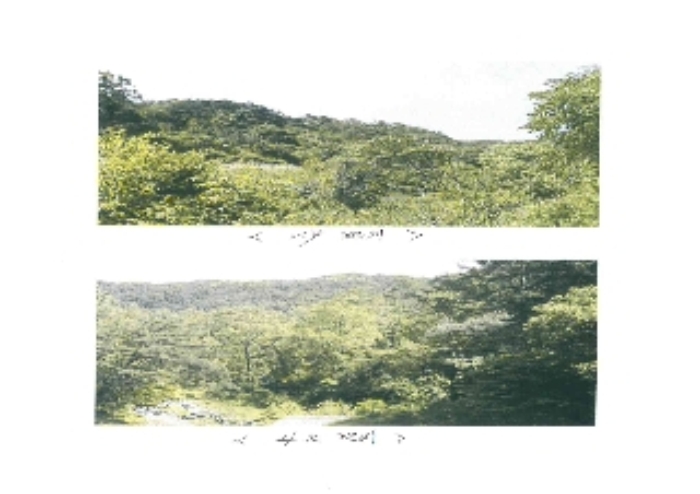 제천지원 2015타경1702-1 사진