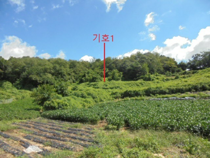 제천지원 2024타경7030-2 사진