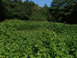 대전지법 2006타경25554-1 사진