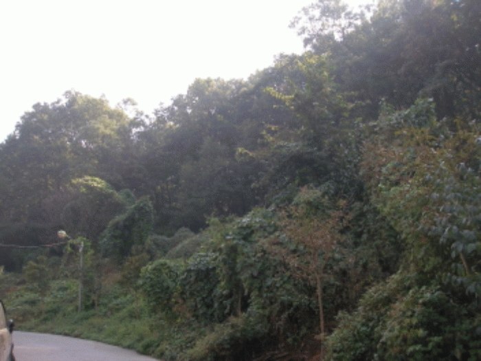 대전지법 2008타경26919-2 사진