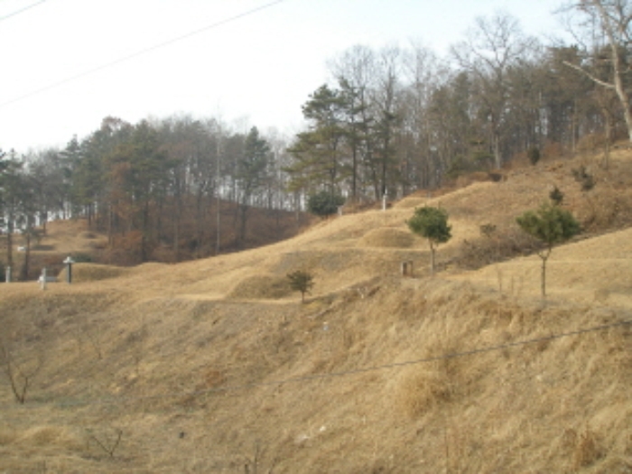 대전지법 2009타경112-1 사진
