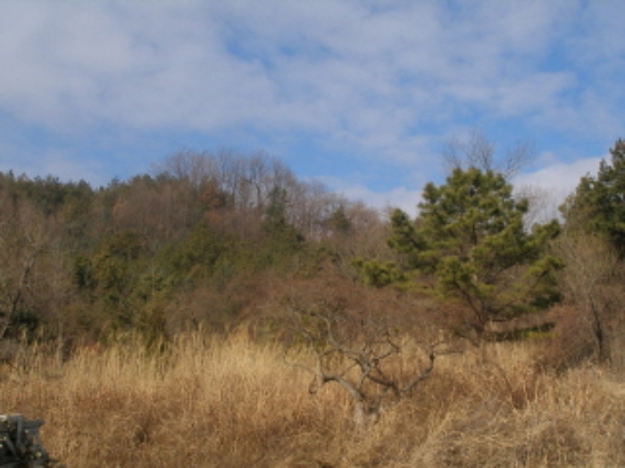 대전지법 2009타경1931-1 사진