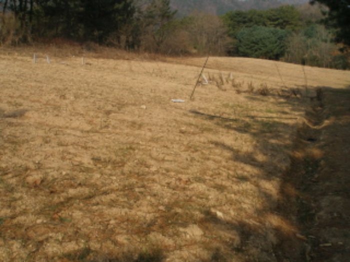 대전지법 2009타경8185-1 사진
