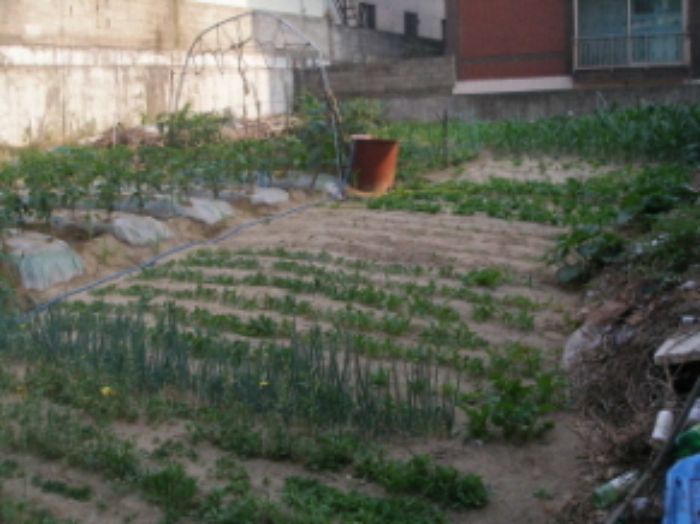 대전지법 2009타경14678-1 사진