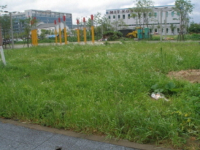 대전지법 2009타경20130-1 사진