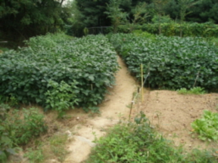 대전지법 2009타경26923-2 사진