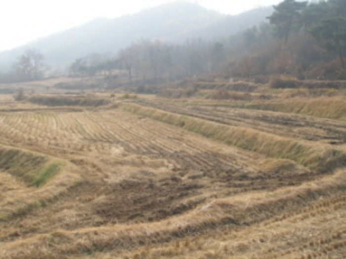 대전지법 2009타경33921-1 사진