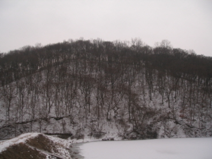 대전지법 2009타경36814-1 사진