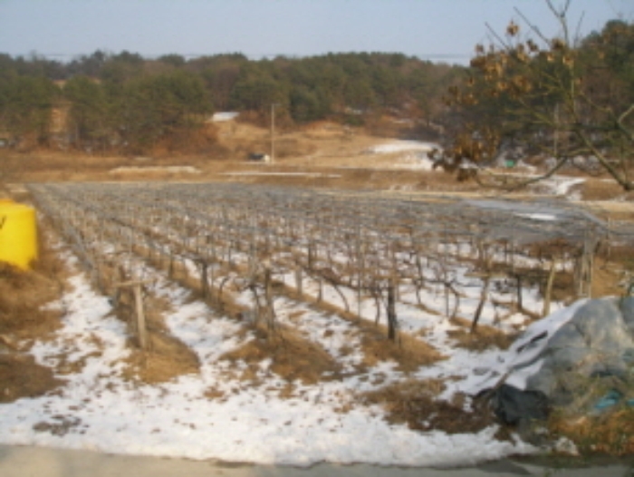 대전지법 2010타경583-2 사진