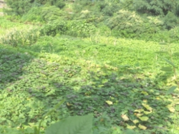 대전지법 2013타경19311-2 사진