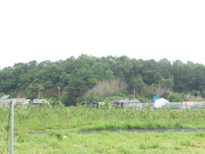 대전지법 2014타경12744-1 사진
