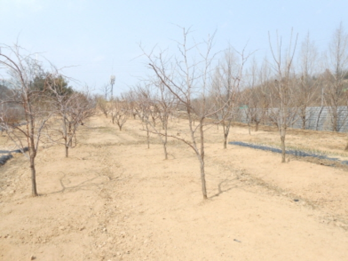 대전지법 2015타경5743-1 사진