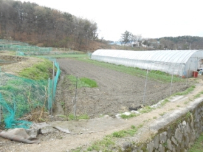 대전지법 2015타경8148-1 사진