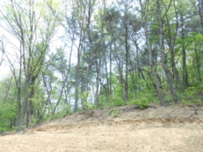 대전지법 2015타경9806-5 사진