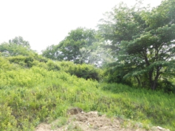 대전지법 2015타경10998-1 사진