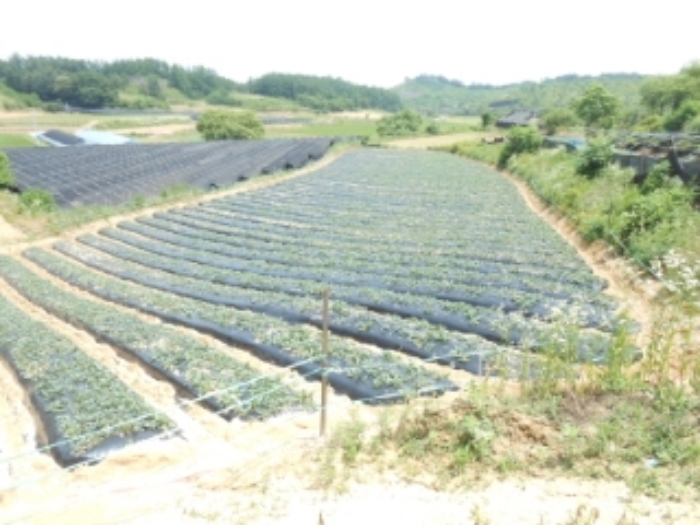 대전지법 2015타경12802-1 사진